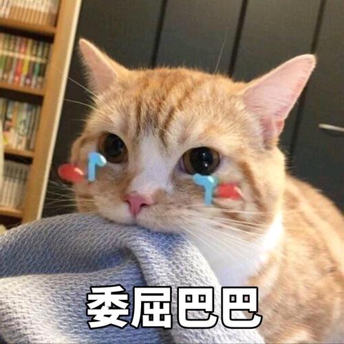 奶香、小馒头