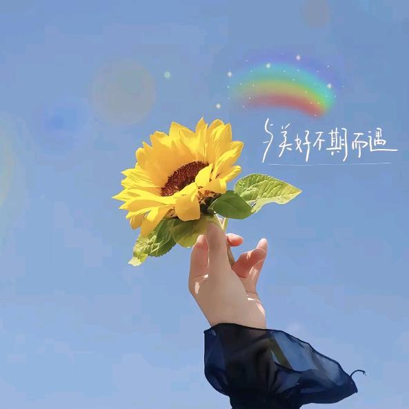 @小石头