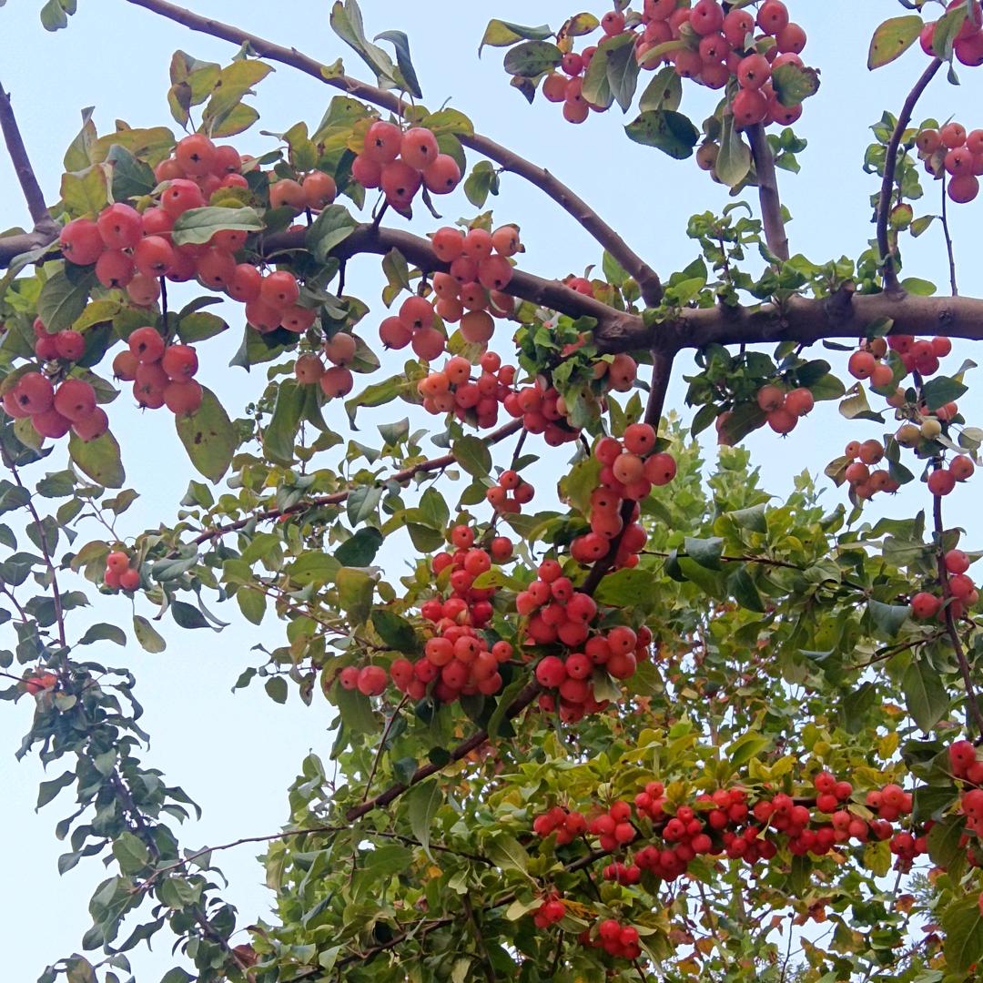根本花不完