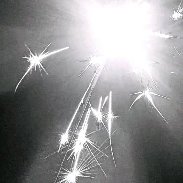 海带先生