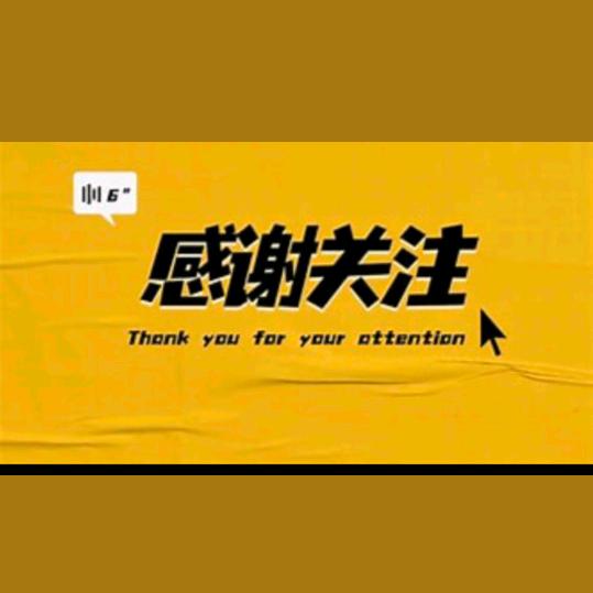 可可团队