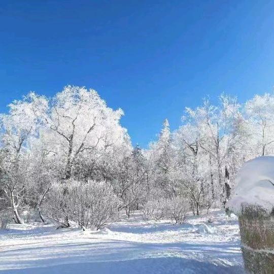 雪乡 长白山  伊春  咨询小志