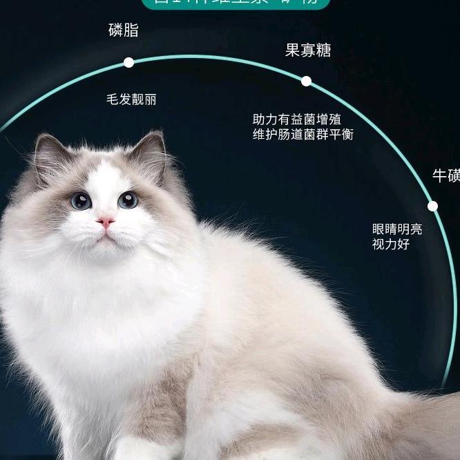 @直耳朵宠物食品