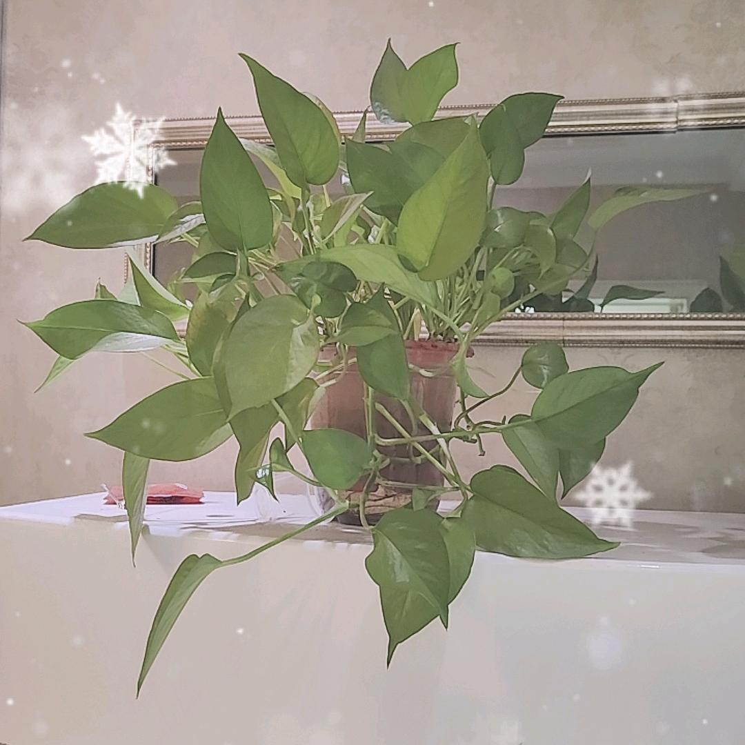 陈志祥
