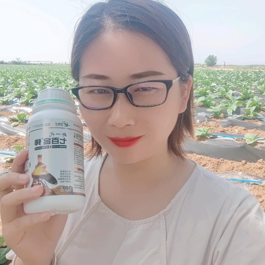 李会讲烤烟