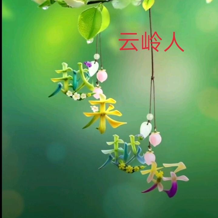 云岭人