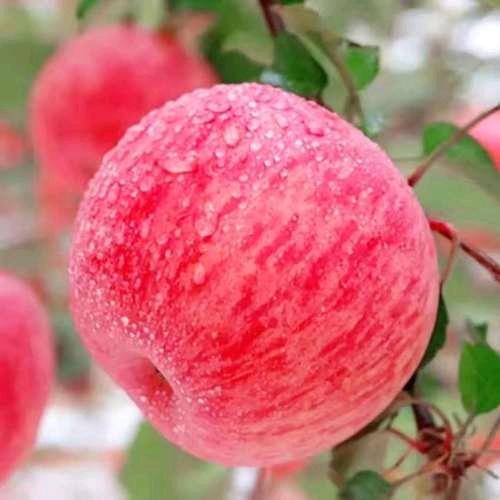 এ᭄小刘💞忙ོꦿ࿐: এ᭄