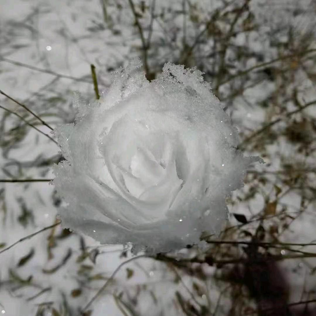 亦航装饰(装修防踩雷)