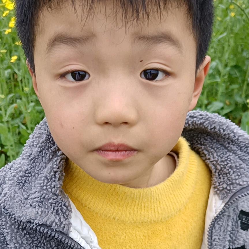 宸宸👶星星的孩子