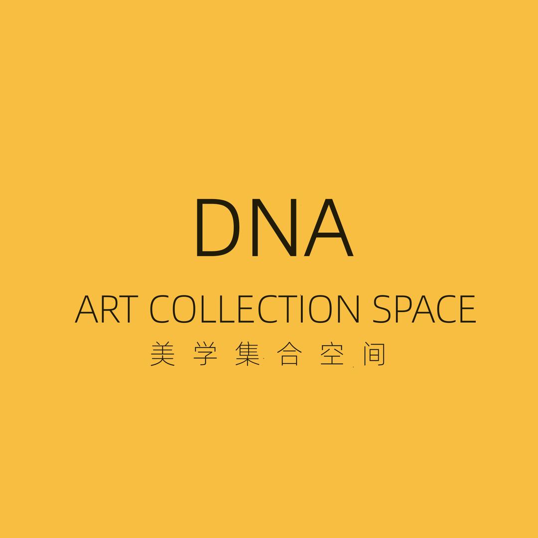 DNA·美学集合空间