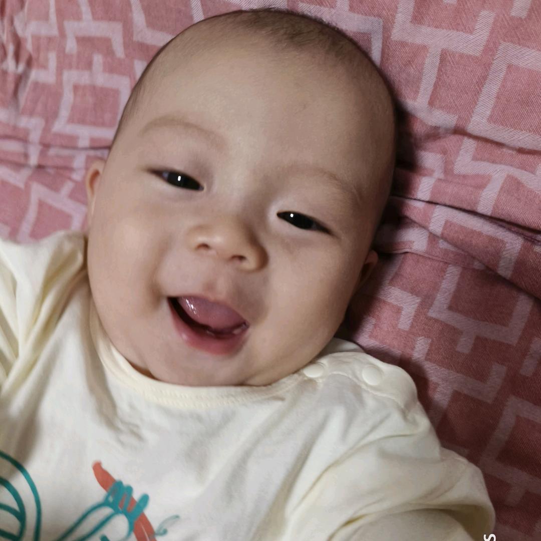 小蛋蛋～