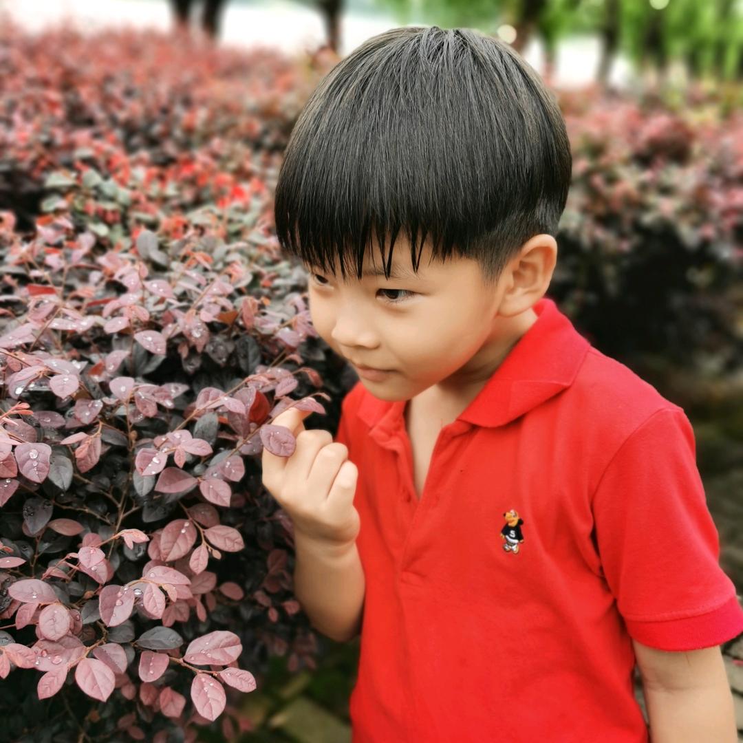 泽宇