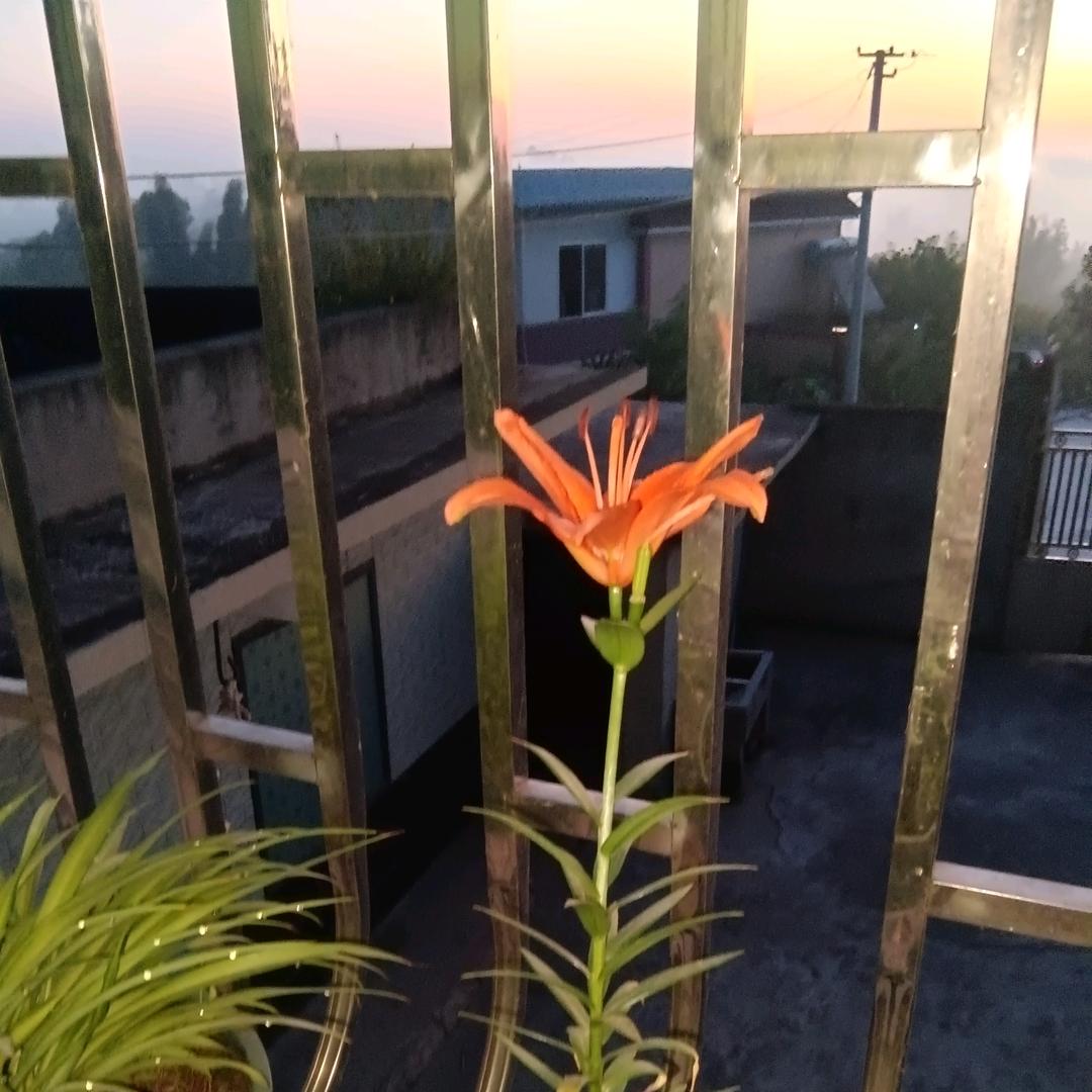 向幸福快乐出发