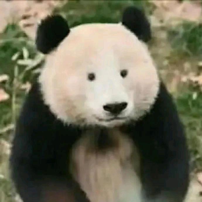 按时吃饭～