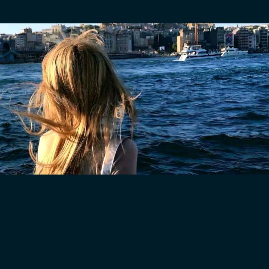 梦梦🌹❤️🦄