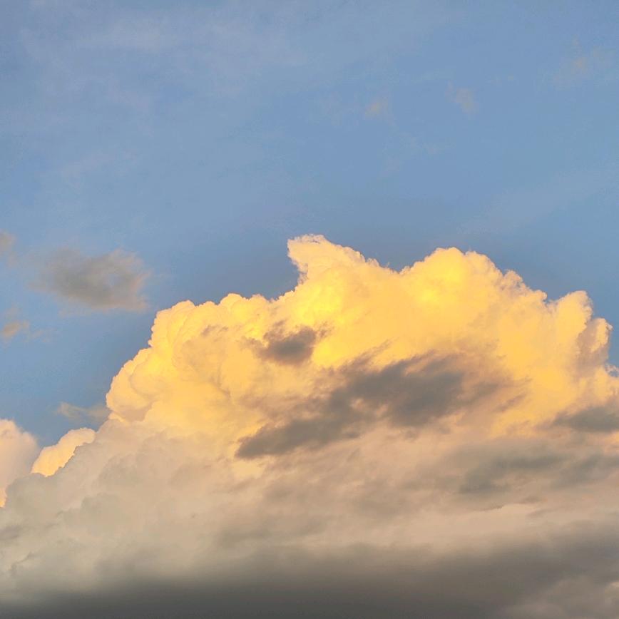 一點點（执药备考💪）