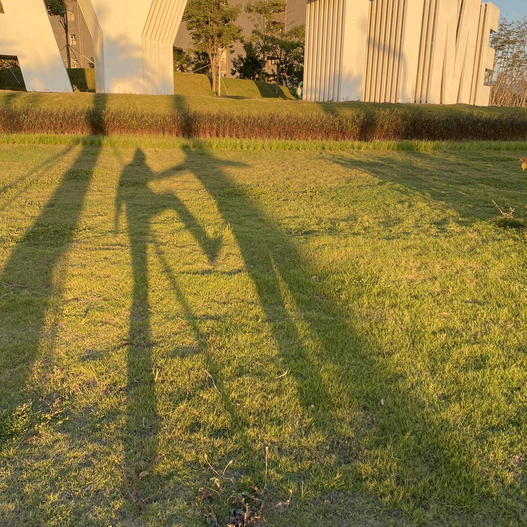 海边飘过你声音