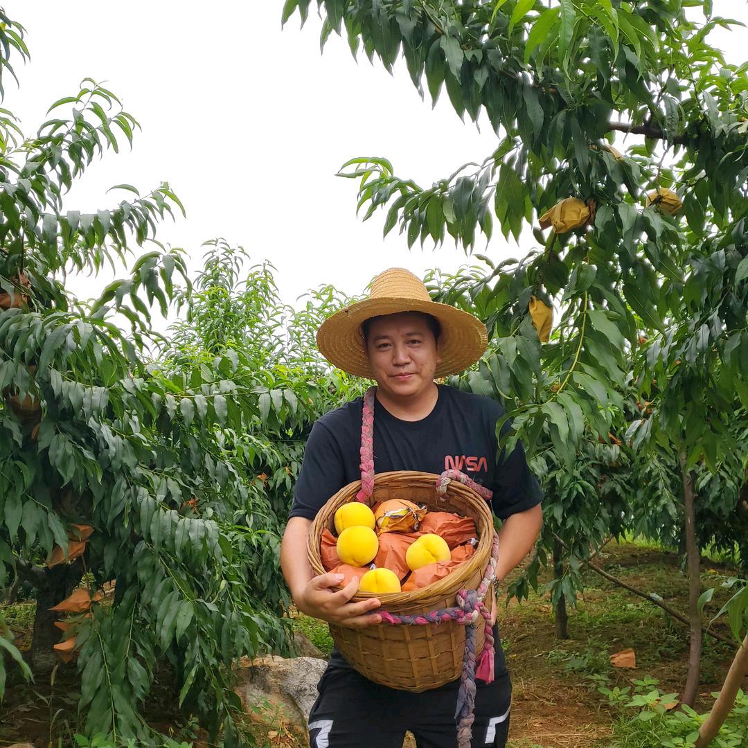 返乡村舒记