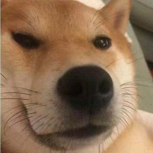 风紫