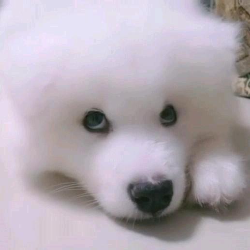 木子🌱李（拒聊）