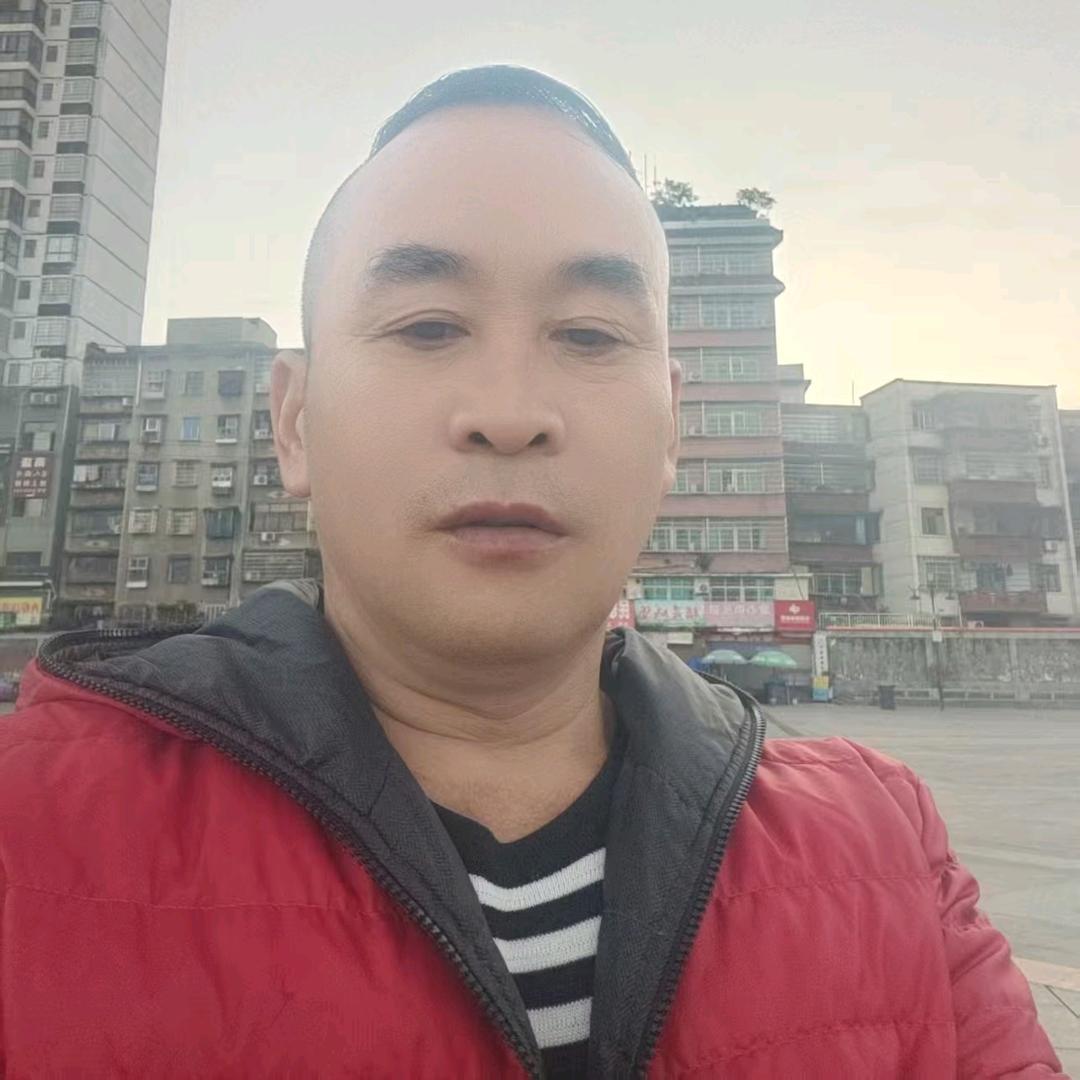 静观思禅