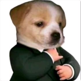 还活着呢！