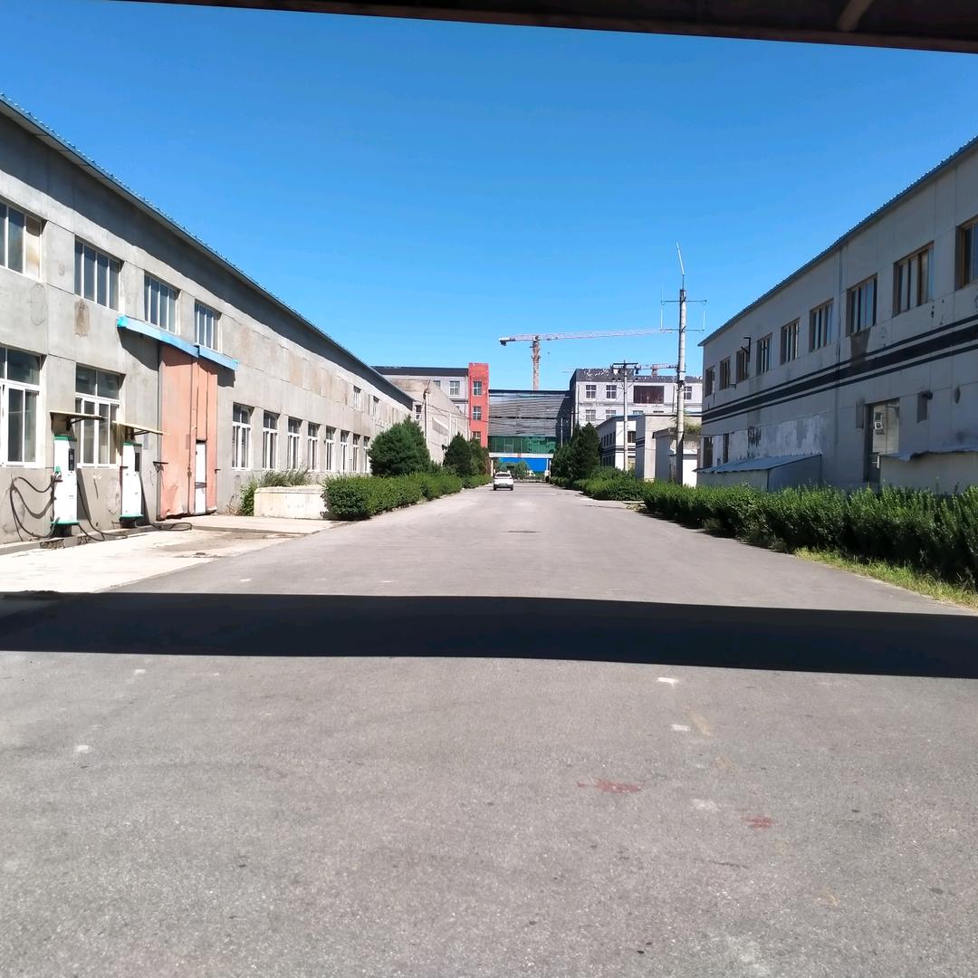 翠儿
