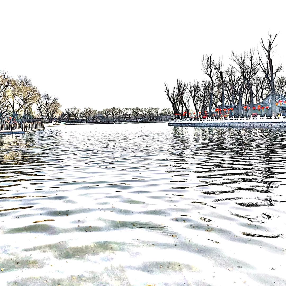 命如草芥心如风