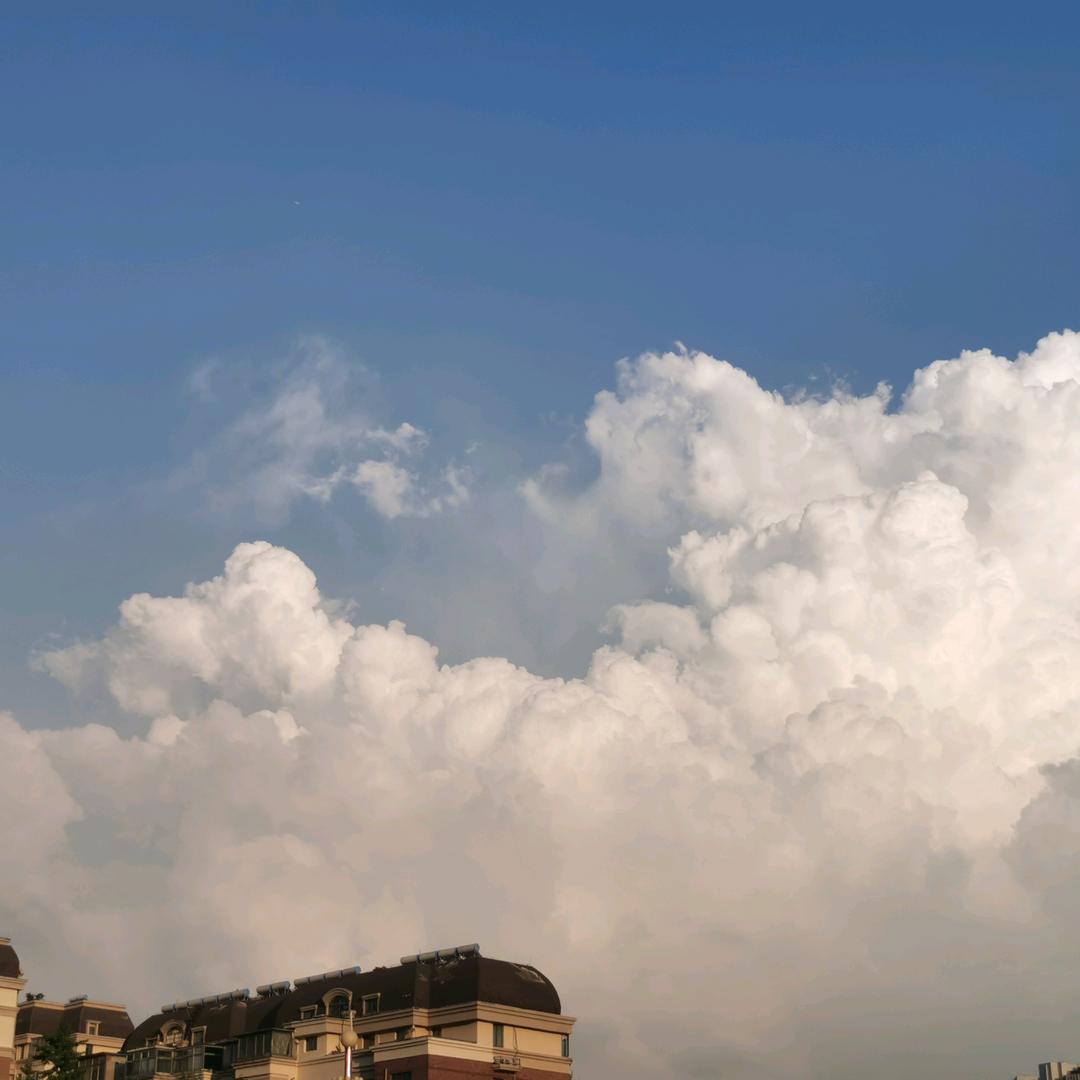 灌南东方华庭（现房、洋房）