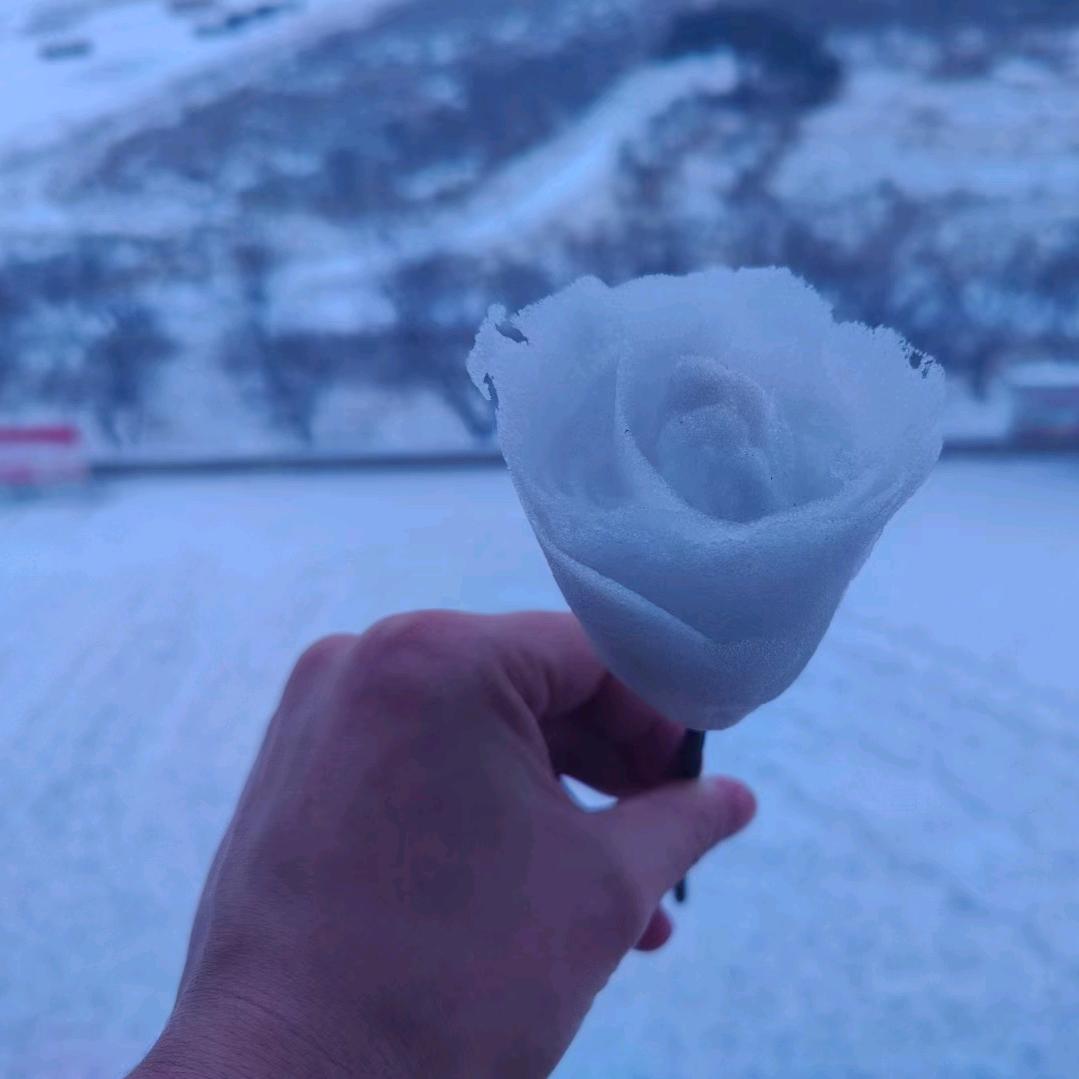 嘟 嘟