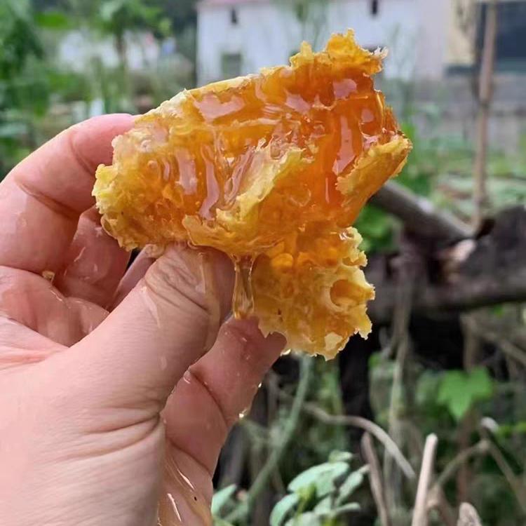 春贝食品商行