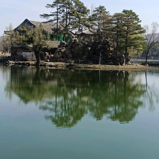 夕阳红