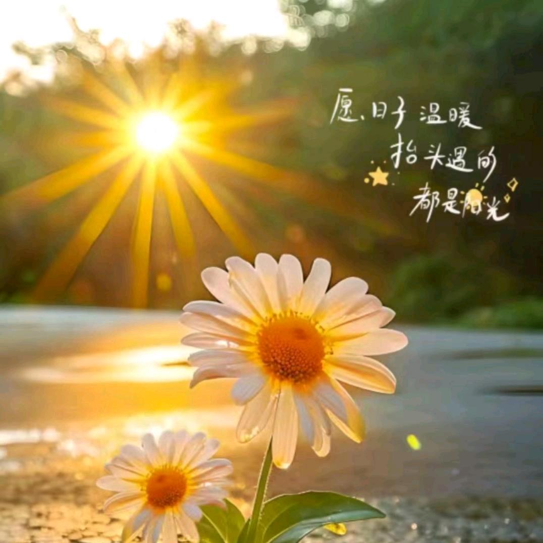 晨陌