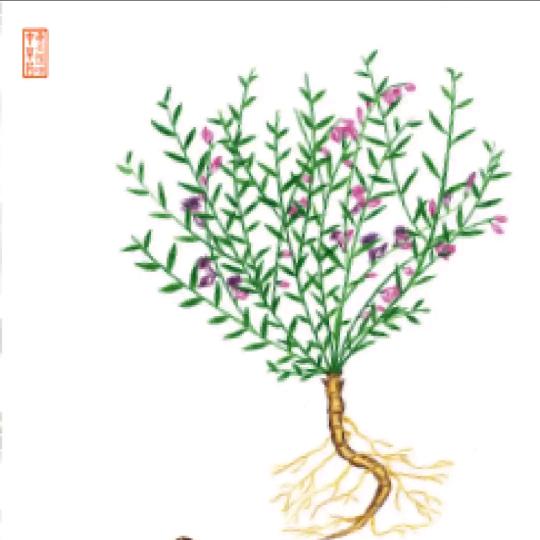 @ 🌹爱你无悔🌹