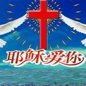 倪弟兄，不定时开播