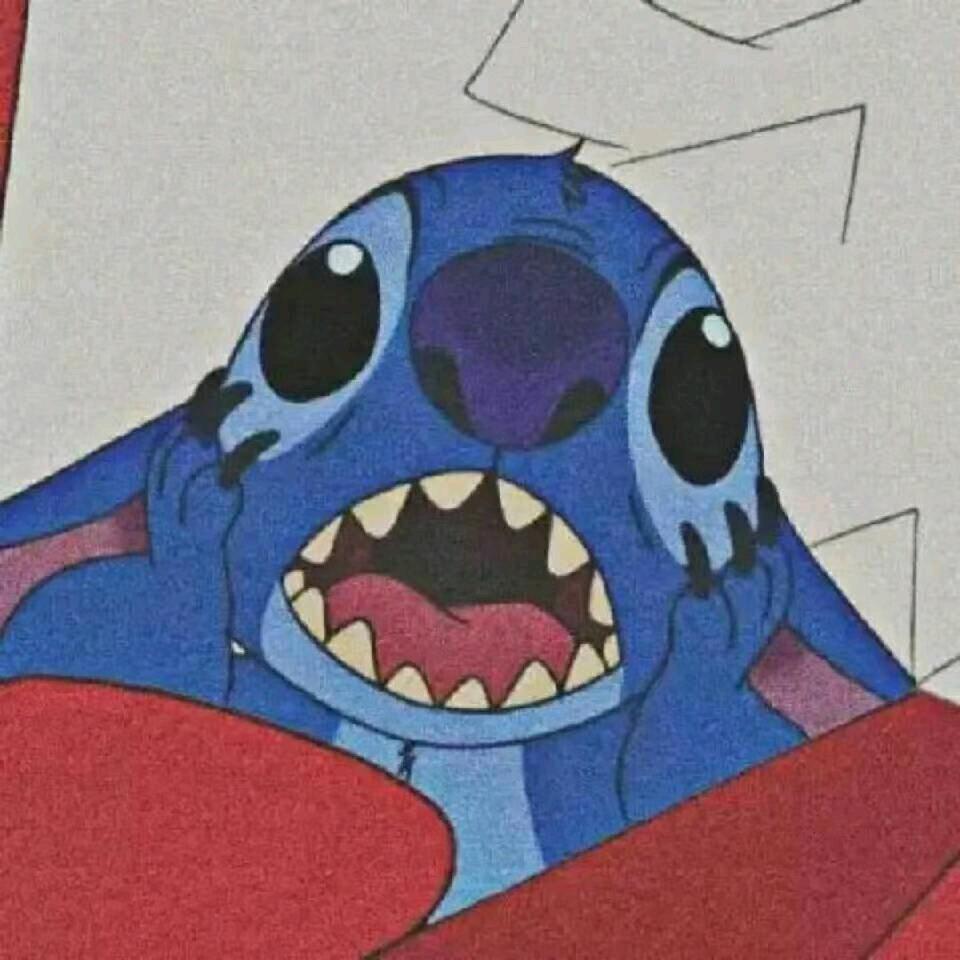 枫奇奇