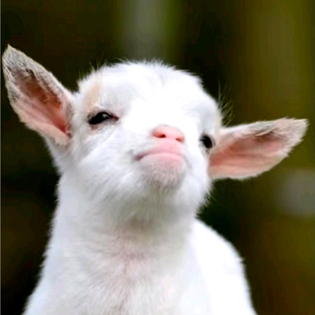 醉_🐑ᴷᴸ/₀₇.₀₅𖠚ᐝ