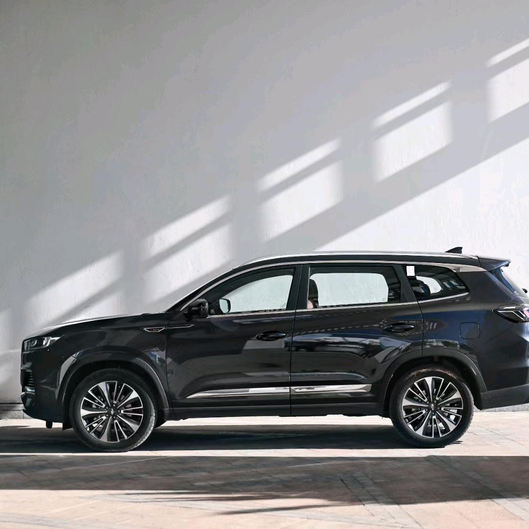 奇瑞新乡道可崔森