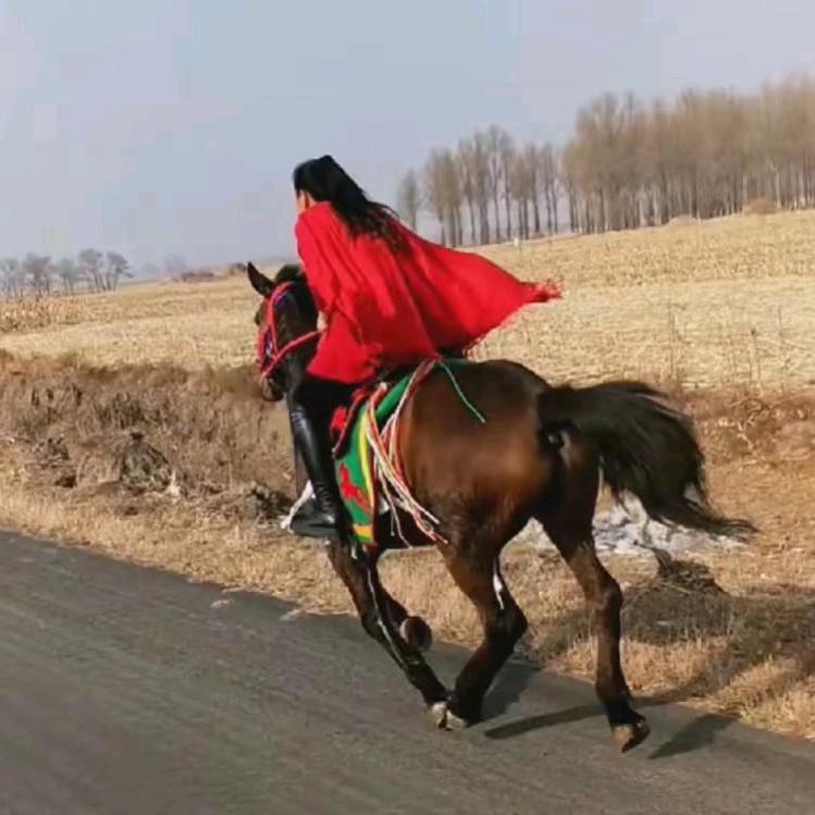 东北吕四姐@抖音