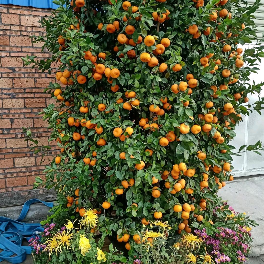 开心过好每一天1.fu:/^quCYkp