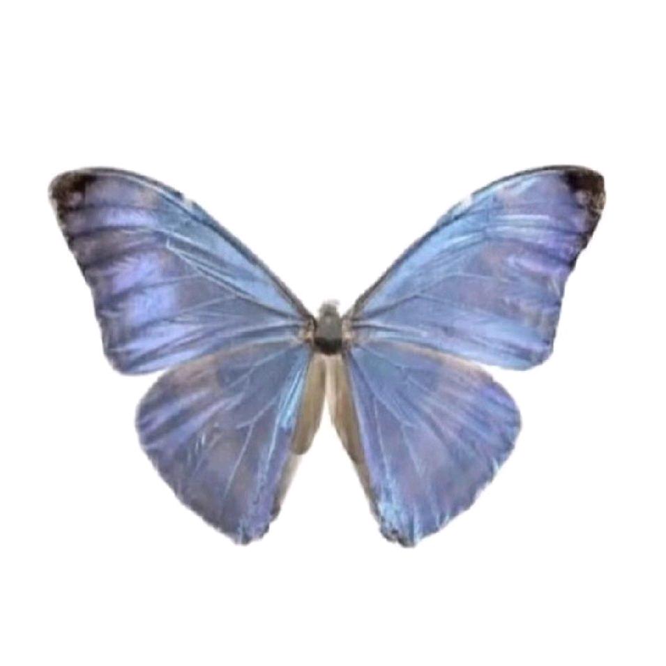 iBaLjy