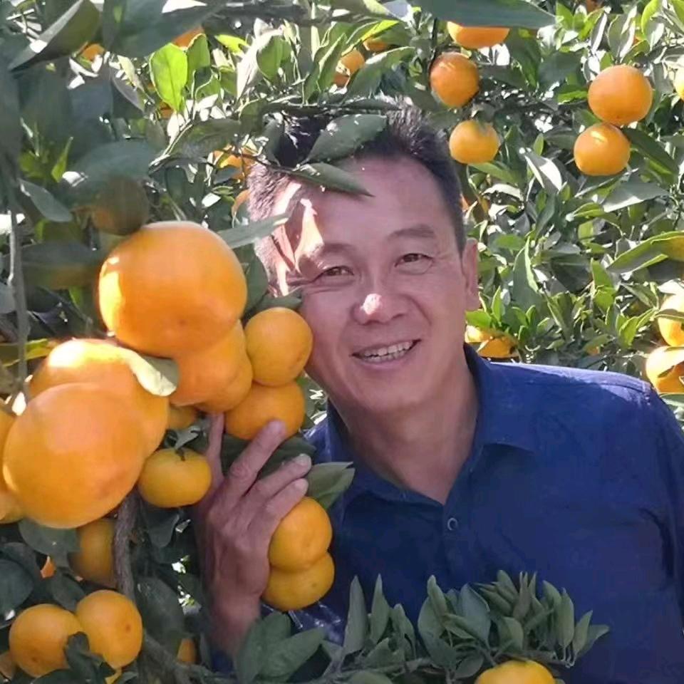 江庭伍家庭农场（柑橘托管代管代收代办）