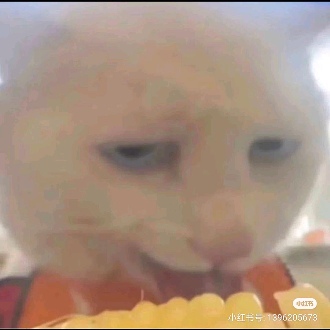 拼好饭战略合作伙伴