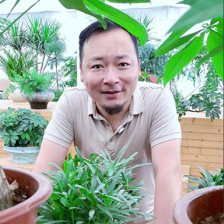 花卉校长