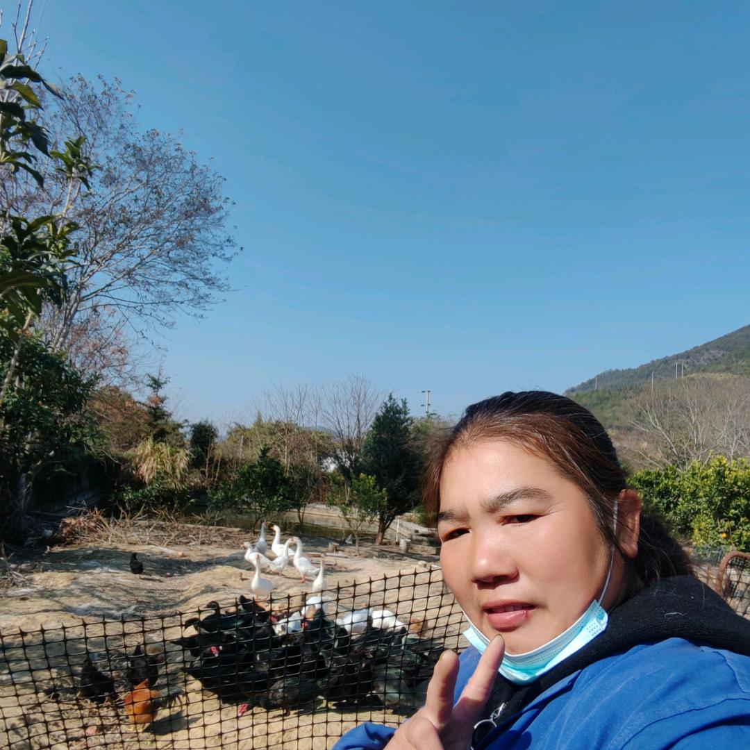 赣南脐橙种植户，熊姐