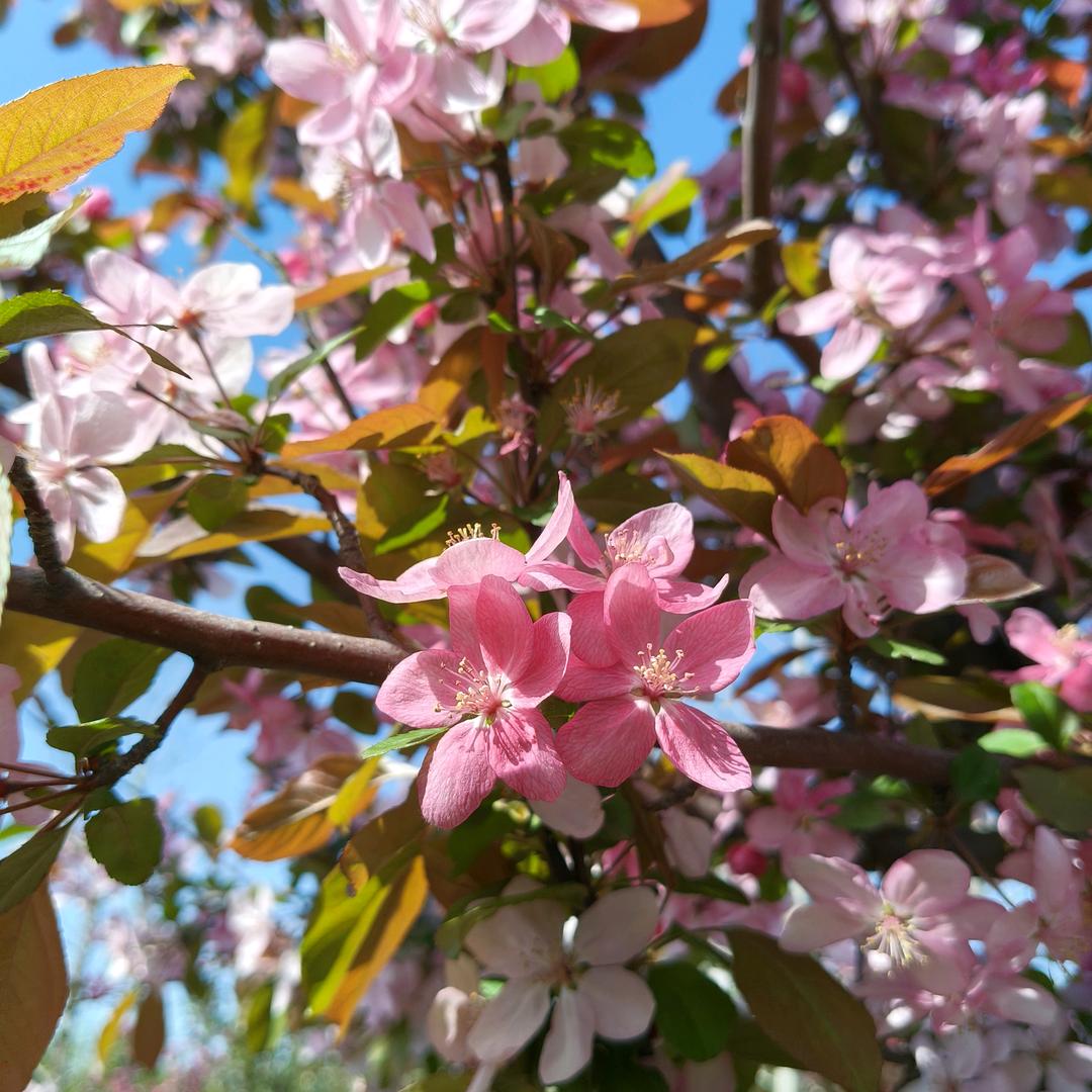 二胎宝妈家常饭🍜