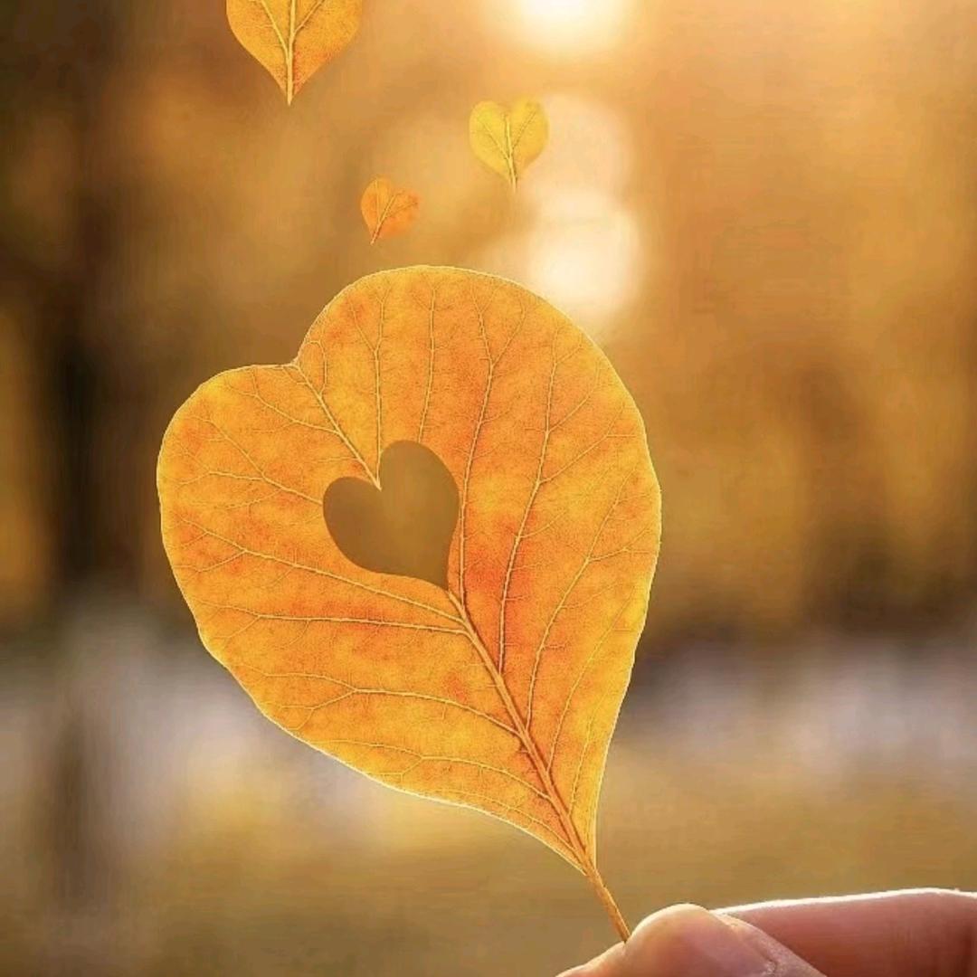 蒙城春雨维修公司