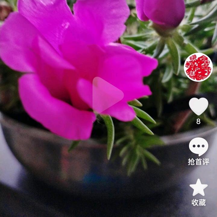 鞠瑞萍
