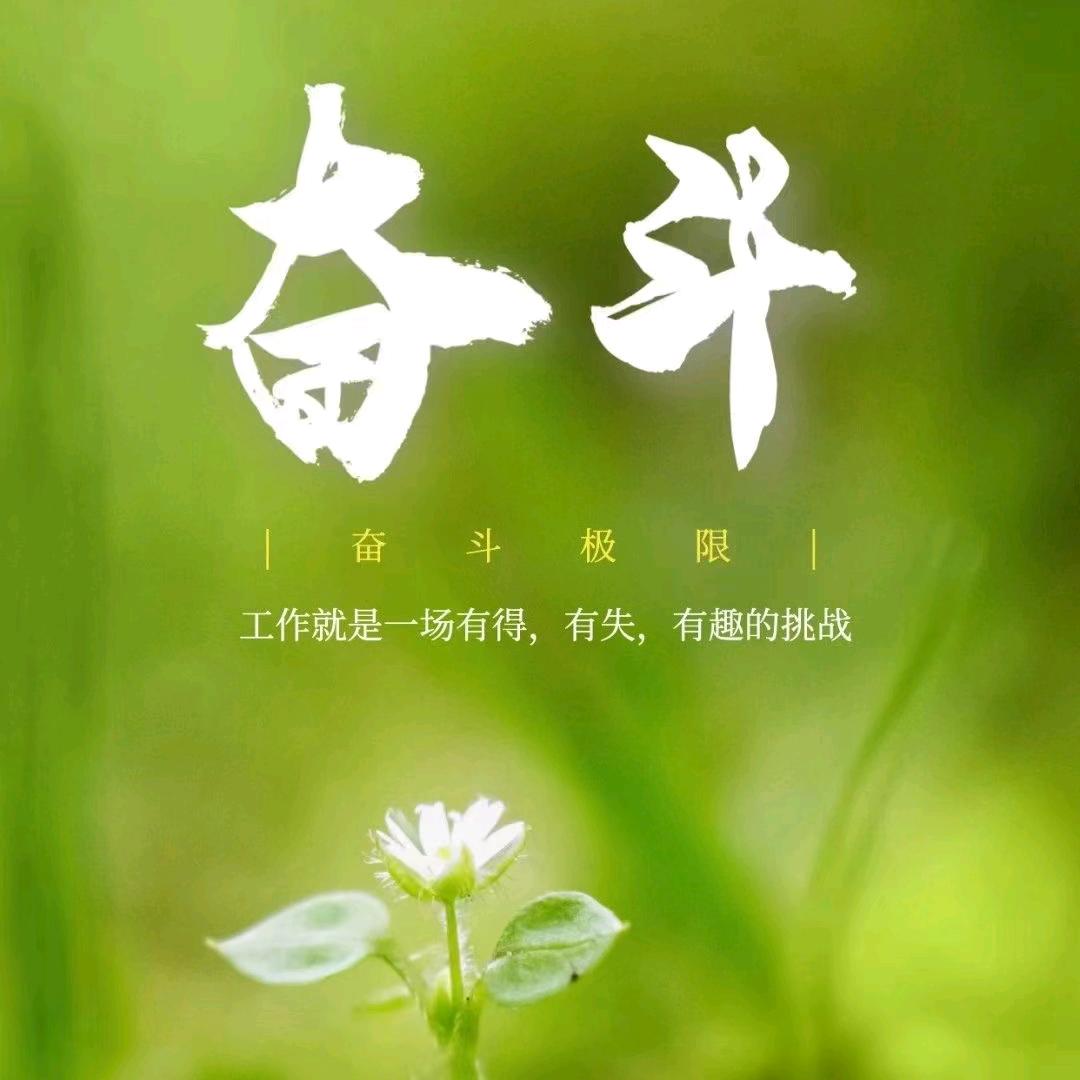 冬雪寒梅