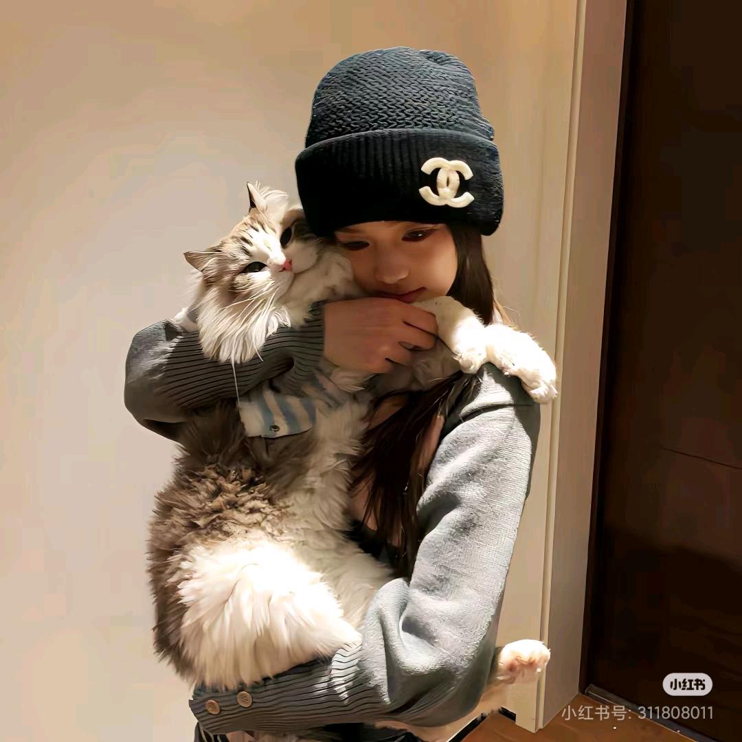 暴躁小泰迪